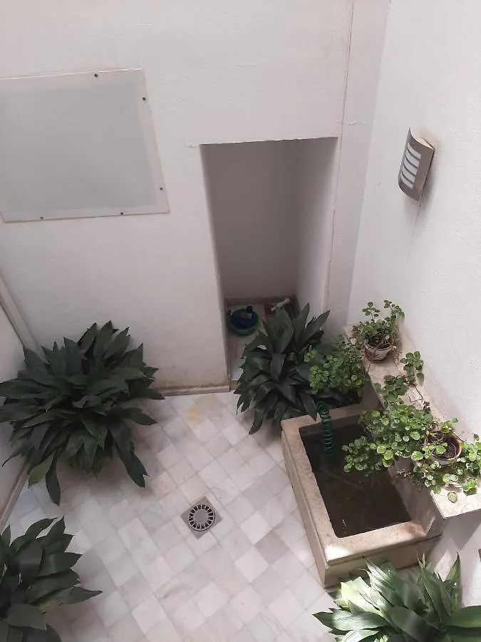 Plaza Nueva'S House 